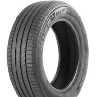 Delinte DS2 SUV 225/70R16 103H