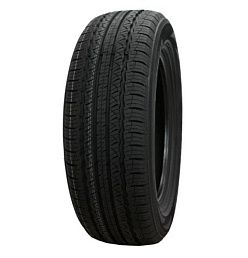 TR259
