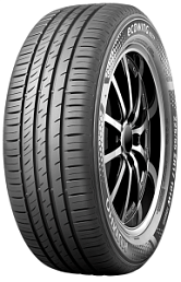 Ecowing ES31